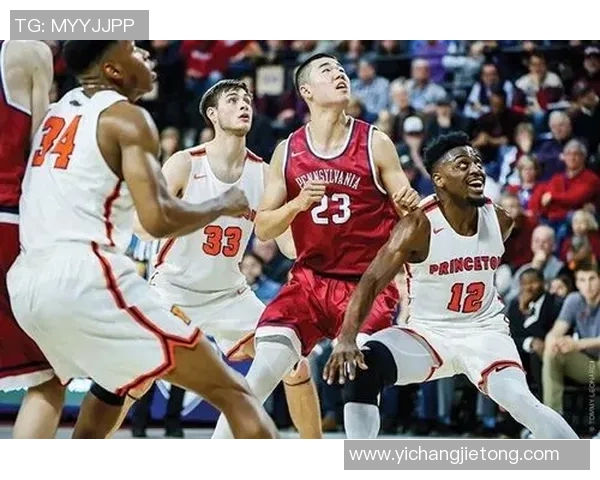 王泉泽:从青年才俊到篮球场上的新星崛起之路