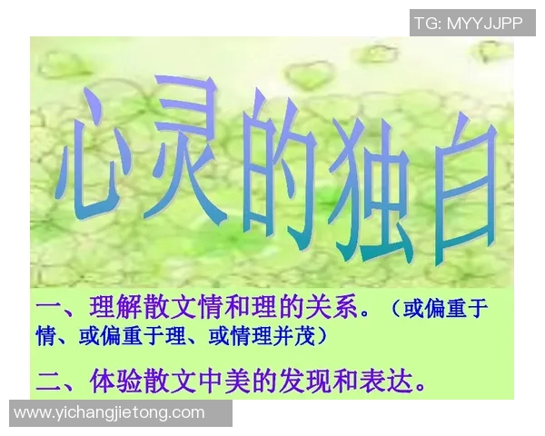 特日格乐的魅力探索与文化传承之路：从传统到现代的完美融合